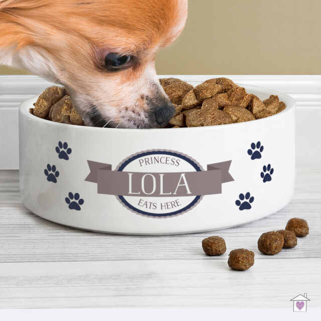 Personalised Blue Paws 14cm Medium White Pet Bowl - Image 5
