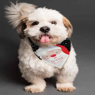 Personalised Santa Dog Bandana