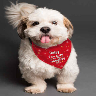 Personalised 'Too cute for the naughty list' Dog Bandana