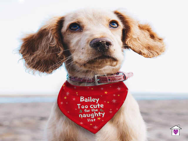 Personalised 'Too cute for the naughty list' Dog Bandana - Image 3