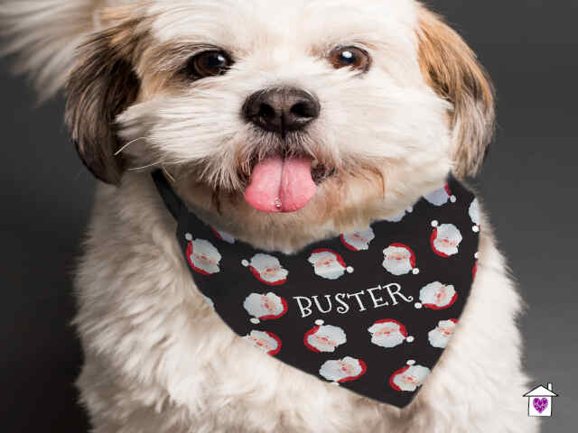 Personalised Santa Black Dog Bandana - Image 4