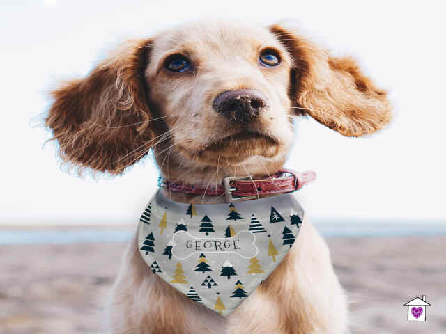 Personalised Christmas Tree Dog Bandana - Image 3