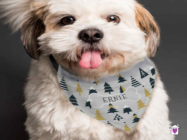 Personalised Christmas Tree Dog Bandana - Image 4
