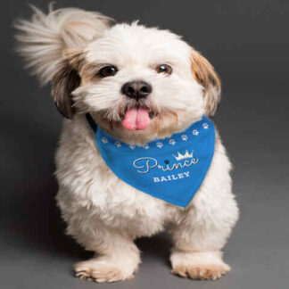 Personalised Prince Dog Bandana