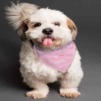 Personalised Princess Dog Bandana