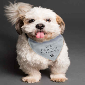 Personalised Dog Bandana
