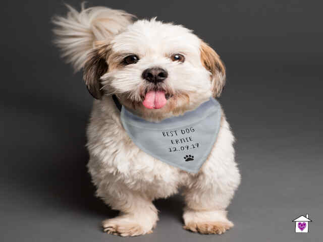 Personalised Dog Bandana - Image 4