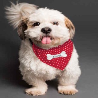 Personalised Red Polka Dot Dog Bandana